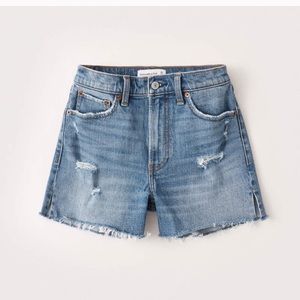 High Rise 4 Inch Mom Shorts